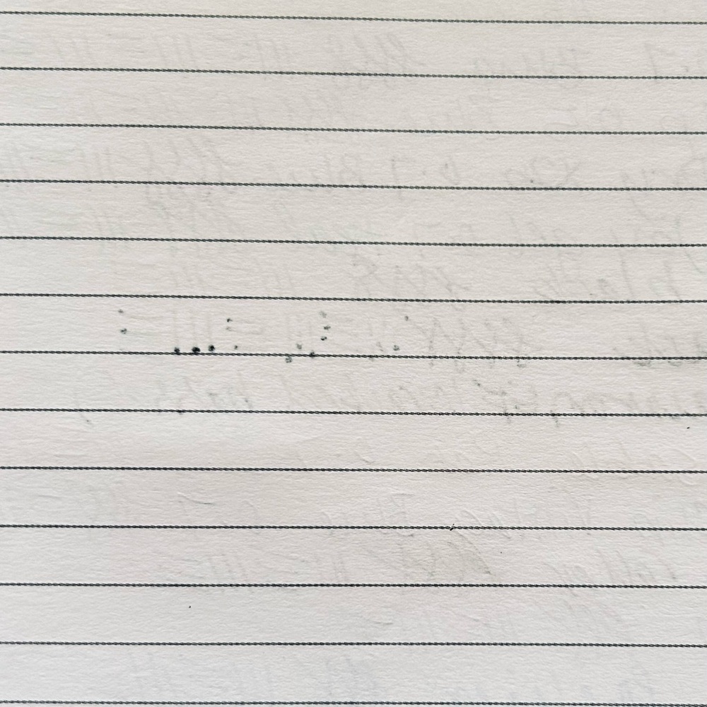 Pretty Lined Notebook - Picture 7 of 7